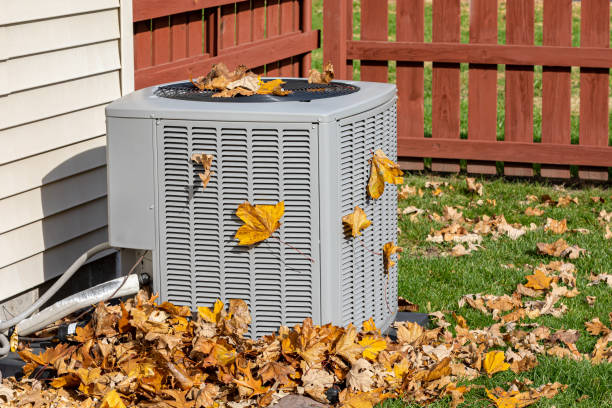 Best HVAC tune-up services  in Youngsville, NC